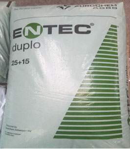 EntecDuplo25-15